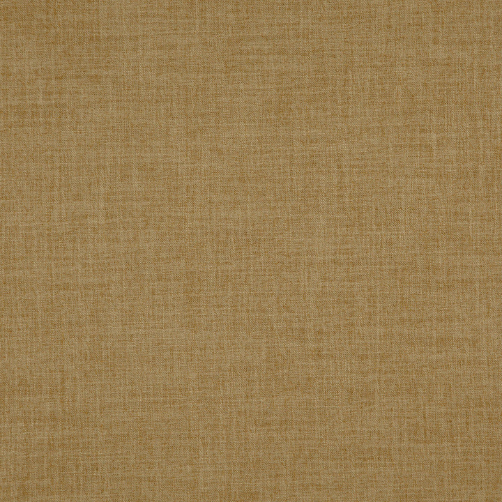 PLAYER 17J8311 by JF Designer Fabric Everyday Player 100% Polyester India  Horizontal:  and Vertical:  54  - Swanky Fabrics -