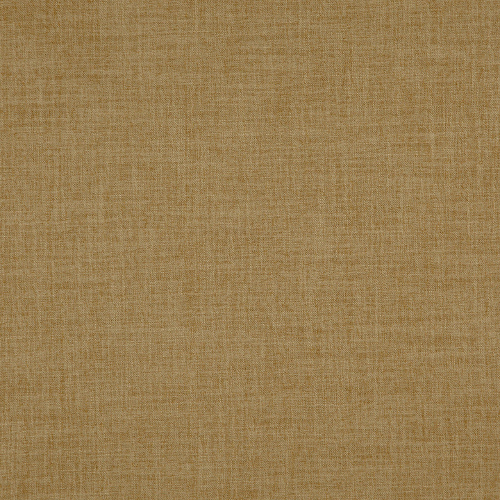Player 17J8311 by JF Fabric Everyday Player 100% Polyester India 200000 Horizontal: and Vertical: 54 - Fabric Carolina -