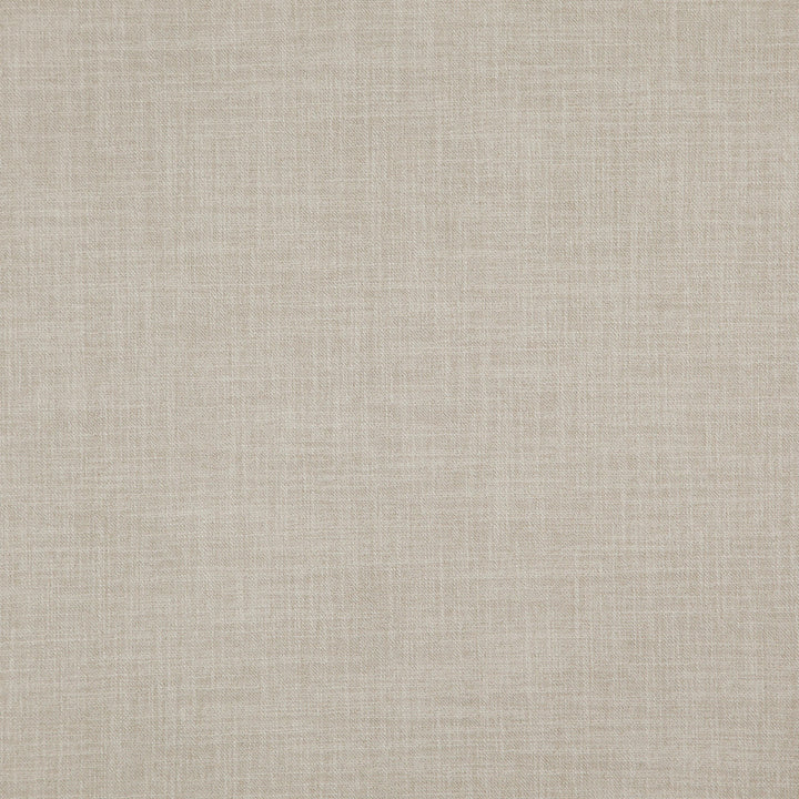 Player 30J8311 by JF Fabric Everyday Player 100% Polyester India 200000 Horizontal: and Vertical: 54 - Fabric Carolina -