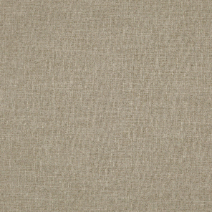 Player 72J8311 by JF Fabric Everyday Player 100% Polyester India 200000 Horizontal: and Vertical: 54 - Fabric Carolina -