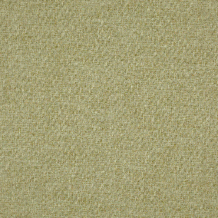 PLAYER 73J8311 by JF Fabric Everyday Player 100% Polyester India Horizontal: and Vertical: 54 - Fabric Carolina -