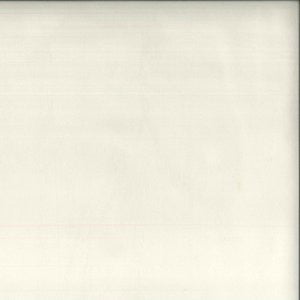 Plush Cloud 020 by Norbar Fabric PLUSH 100% POLYESTER CHINA 51,000 WYZENBEEK 54 - Fabric Carolina -