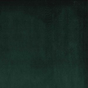 Plush Everglade 374 by Norbar Fabric PLUSH 100% POLYESTER CHINA 51,000 WYZENBEEK </p><p>Repeat: 54 - Fabric Carolina -