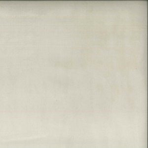 Plush Gull 049 by Norbar Fabric PLUSH 100% POLYESTER CHINA 51,000 WYZENBEEK 54 - Fabric Carolina -