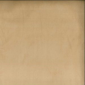 Plush Honey 117 by Norbar Fabric 100% POLYESTER CHINA 51,000 WYZENBEEK 54 - Fabric Carolina -