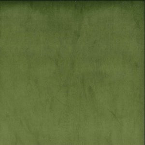 Plush Kiwi 370 by Norbar Fabric See Sample 100% POLYESTER CHINA 51,000 WYZENBEEK 54 - Fabric Carolina -