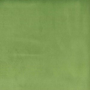 Plush Parrot 308 by Norbar Fabric PLUSH 100% POLYESTER CHINA 51,000 WYZENBEEK </p><p>Repeat: 54 - Fabric Carolina -