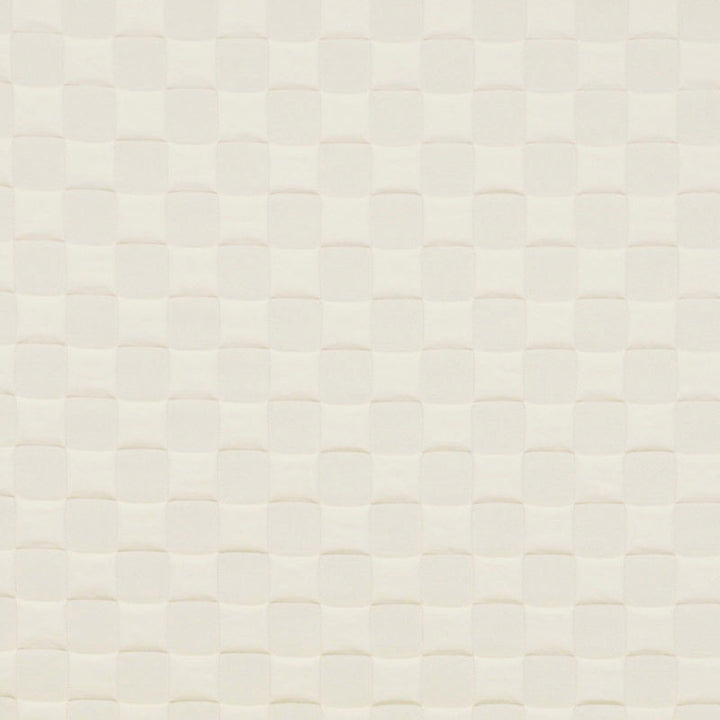 Power Grid # 69 Dove by Maxwell Fabric 70% COTTON 30% POLYESTER INDIA </p><p>Repeat: Horizontal: H-1.7 and Vertical: V-1.7 55" - Fabric Carolina -