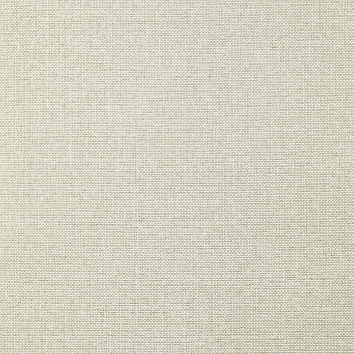 Proxy # 006 Cement by Maxwell Fabric 100% POLYESTER TURKEY </p><p>Repeat: Horizontal: and Vertical: 55.1" - Fabric Carolina -