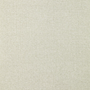 Proxy # 006 Cement by Maxwell Fabric