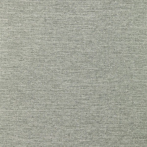 Proxy # 040 Limestone by Maxwell Fabric