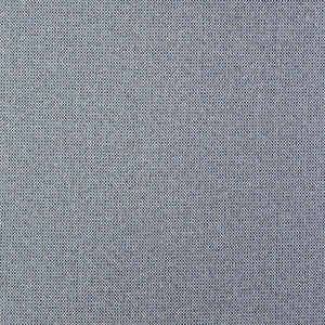 Proxy # 106 Flint by Maxwell Fabric