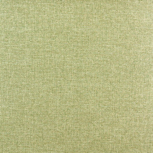 Proxy # 117 Moss by Maxwell Fabric
