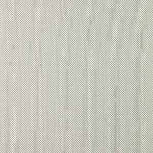 Power Point # 003 Oyster by Maxwell Fabric