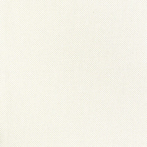 Power Point # 008 Fresco by Maxwell Fabric