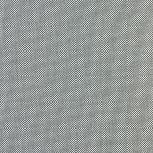 Power Point # 041 Iron by Maxwell Fabric