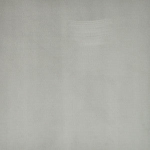 Plenty # 20 Sidewalk by Maxwell Fabric
