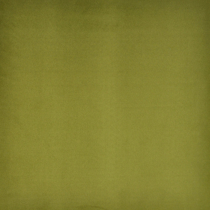 Plenty # 21 Linden by Maxwell Fabric LAP OF LUXURY 100% POLYESTER CHINA </p><p>Repeat: Horizontal: and Vertical: 55" - Fabric Carolina -