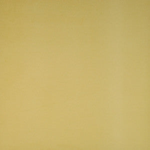 Plenty # 27 Sand Dollar by Maxwell Fabric