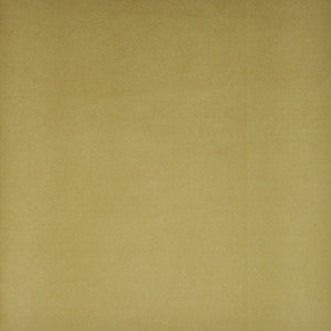 Plenty # 37 Drumheller by Maxwell Fabric