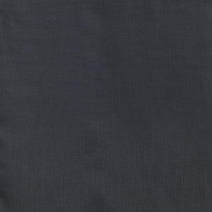 Poseidon # 104 Graphite by Maxwell Fabric