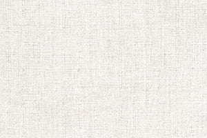 Pocasset Eggshell by Richloom Fabric