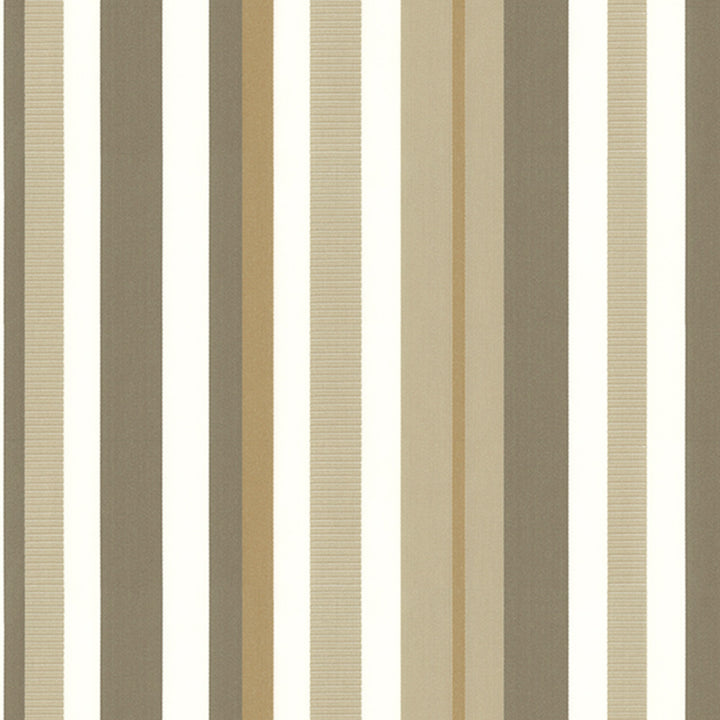 Poise 34J8001 by JF Fabric Color Concepts Silver Sage 60% Cotton, 40% Polyester India 15000 Horizontal: 13.75 and Vertical: 56 - Fabric Carolina -