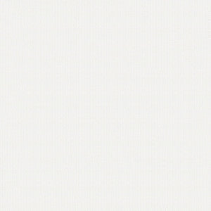 Polaris Marine POL 1619 Brilliant White by Softside Fabric