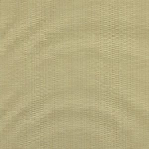 Polar Ecru 112 by Norbar Fabric