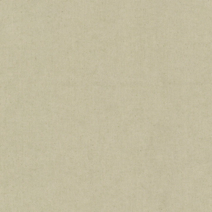 Ponder 2 Celery by Stout Fabric Stout Fabric Ponder 2 CeleryFabric Rainbow Library Sage/Cypress 88%Cot 12%Pol USA </p><p>Repeat: H: 0, V: 0 54 in - Fabric Carolina -
