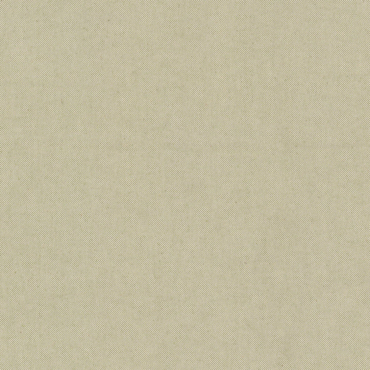 Ponder 2 Celery by Stout Designer Fabric RAINBOW LIBRARY SAGE/CYPRESS 88%COT 12%POL USA CATB 117-2013 WYZENBEEK 125 000 DOUBLE RUB WEAR TEST (HEAVY DUTY) Horizontal: 0.000 and Vertical: 0.000 54 in - Swanky Fabrics -