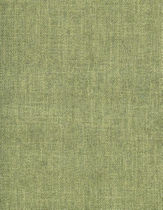 Pontiac Sprout 312 by Norbar Fabric See Sample 100% POLYESTER CHINA 51,000 WYZENBEEK 55 - Fabric Carolina -