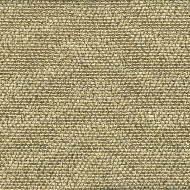 Popjoy 1 Twig by Stout Fabric COMFORTABLE LIVING SMOKE/CINDER 100%POL CHINA FLAME RETARDANT-U.F.A.C. CLASS 1 CATB 117-2013 WYZENBEEK 40 000 DOUBLE RUB WEAR TEST (HEAVY DUTY) Horizontal: 0 and Vertical: 0 55 in - Fabric Carolina -