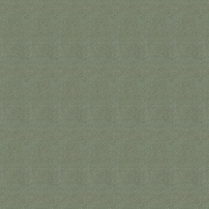 Poplar 2009 Forest by Crypton Fabric 47% Micropoly
44% Recycled Polyester
9% Polyester US 105,000 Double Rubs (Wyzenbeek) </p><p>Repeat: Horizontal: 31.8 in. (79.5 cm) up the roll and Vertical: 15 in. (37.5 cm) across the roll 54 in. (137 cm) - Fabric Carolina -