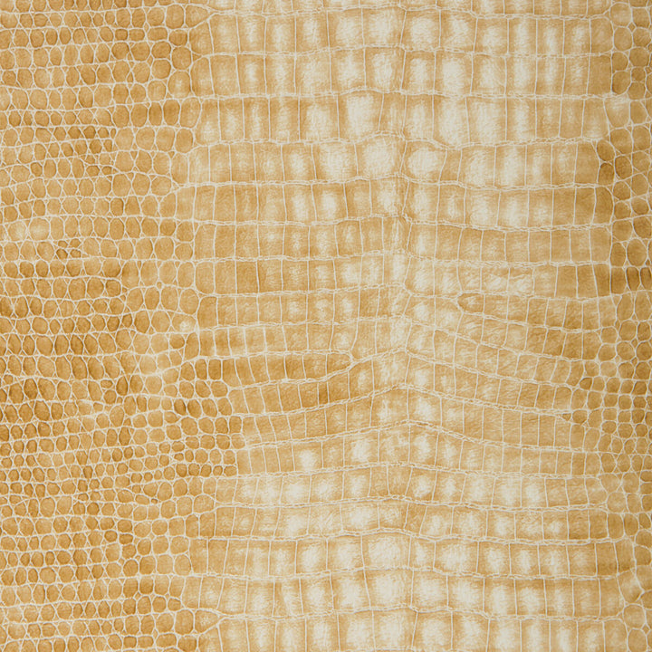 Porthos-16 by Kravet Design Fabric - POLYESTER - 55%;POLYURETHANE - 45% Korea, Republic of HEAVY Horizontal: 8.5 and Vertical: 7.5 54 - Fabric Carolina -