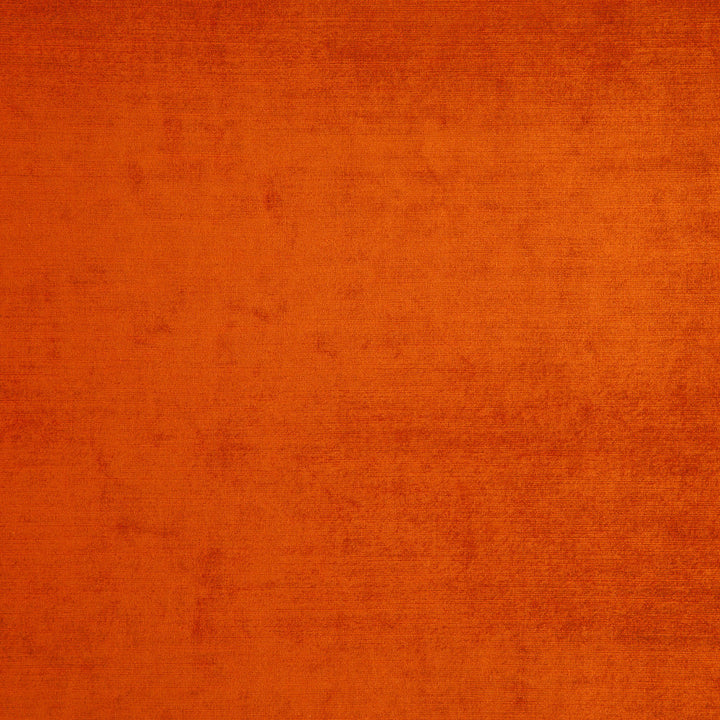 Posh 23J5831 by JF Fabric Posh Book 56% Viscose, 44% Cotton India 200000 Horizontal: and Vertical: 57 - Fabric Carolina -