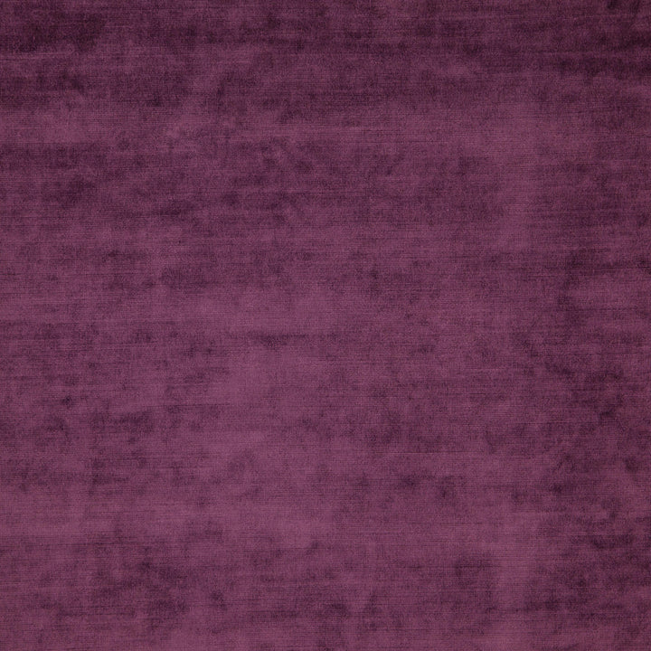POSH 58J5831 by JF Fabric Posh Book 56% Viscose, 44% Cotton India Horizontal: and Vertical: 57 - Fabric Carolina -