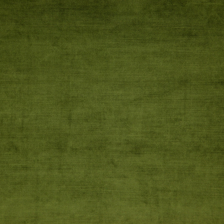 Posh 78J5831 by JF Fabric Posh Book 56% Viscose, 44% Cotton India 200000 Horizontal: and Vertical: 57 - Fabric Carolina -