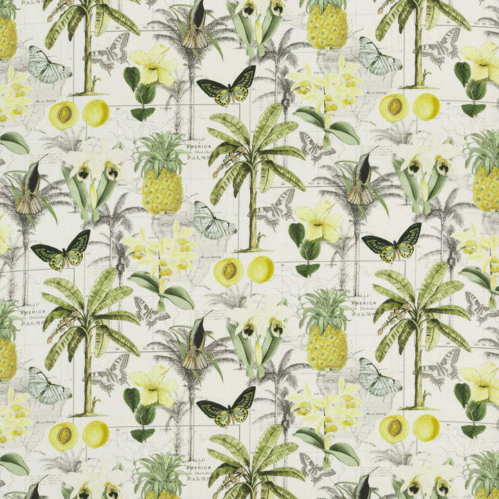 Orinoco Citrus by Baker Lifestyle Fabric Baker Lifestyle Fabric Orinoco CitrusFabric CARNIVAL COTTON - 90%;LINEN - 10% United Kingdom </p><p>Repeat: H: 35.854, V: 35.066 53.978 - Fabric Carolina -