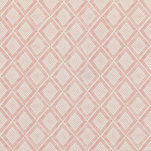 Block Trellis Fuchsia by Baker Lifestyle Fabric