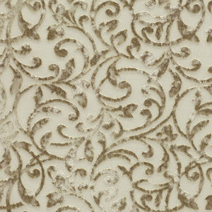 Pippa # 08 Cornsilk by Maxwell Fabric