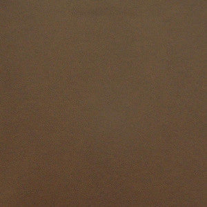 Pony Express # 2005 Earth by Maxwell Fabric