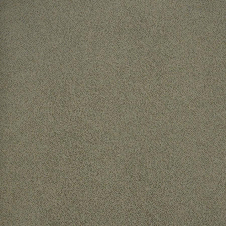Pony Express # 5007 Flintstone by Maxwell Designer Fabric 100% POLYURETHANE CHINA 54" - Swanky Fabrics -