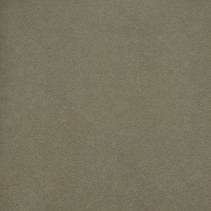 Pony Express # 5007 Flintstone by Maxwell Fabric