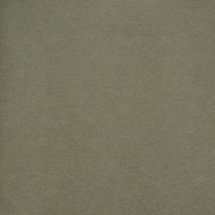 Pony Express # 5007 Flintstone by Maxwell Fabric 100% POLYURETHANE CHINA 54" - Fabric Carolina -