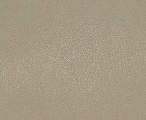 Persuasion # 005 Bisque by Maxwell Fabric