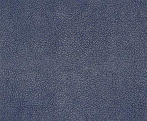 Persuasion # 006 Blueberry by Maxwell Fabric
