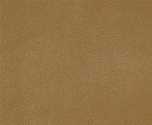 Persuasion # 007 Butterscotch by Maxwell Fabric