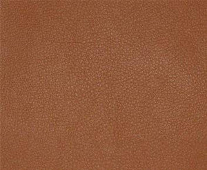 Persuasion # 012 Curry by Maxwell Fabric