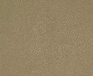 Persuasion # 022 Sand by Maxwell Fabric